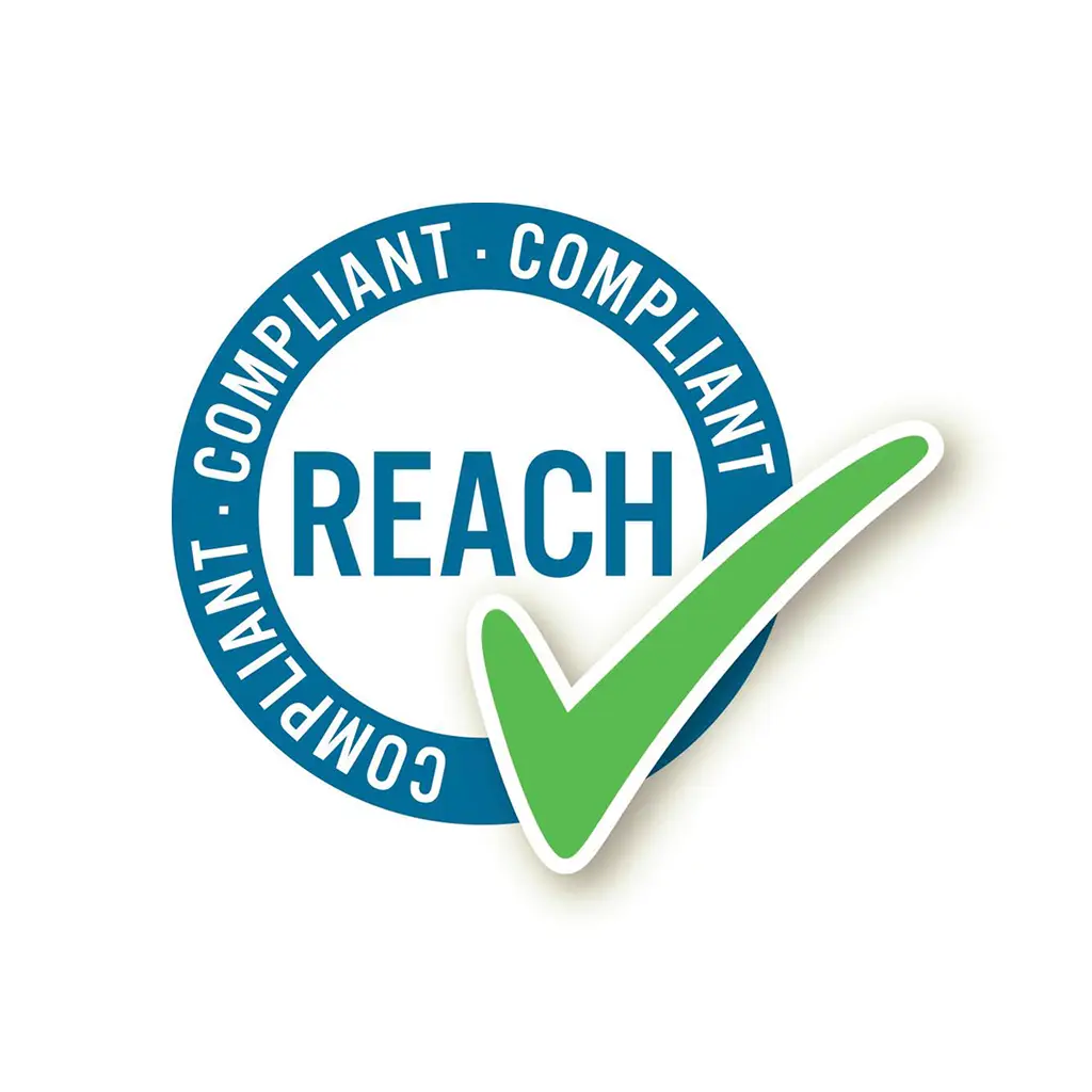 REACH logo