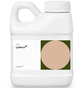 Enzymes - LP Hera product image